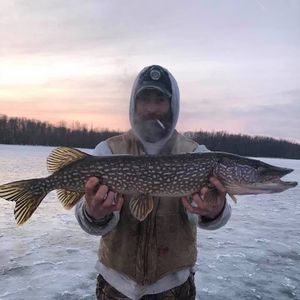 Meet your Posher, Andrew